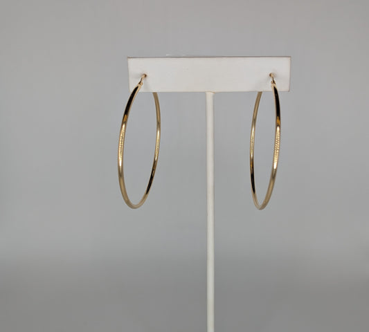 Precious Metal (no stones) Earrings